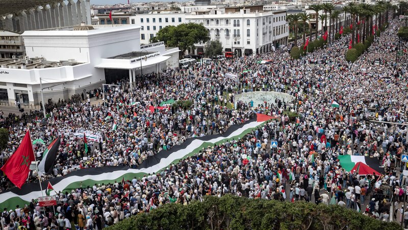 يوم الإضراب: العالم ينتفض دعمًا لغزة