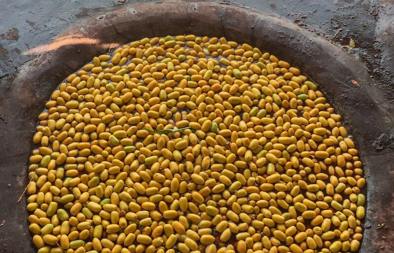 كيف نستفيد من “الفاغور” في الناتج المحلي الإجمالي؟