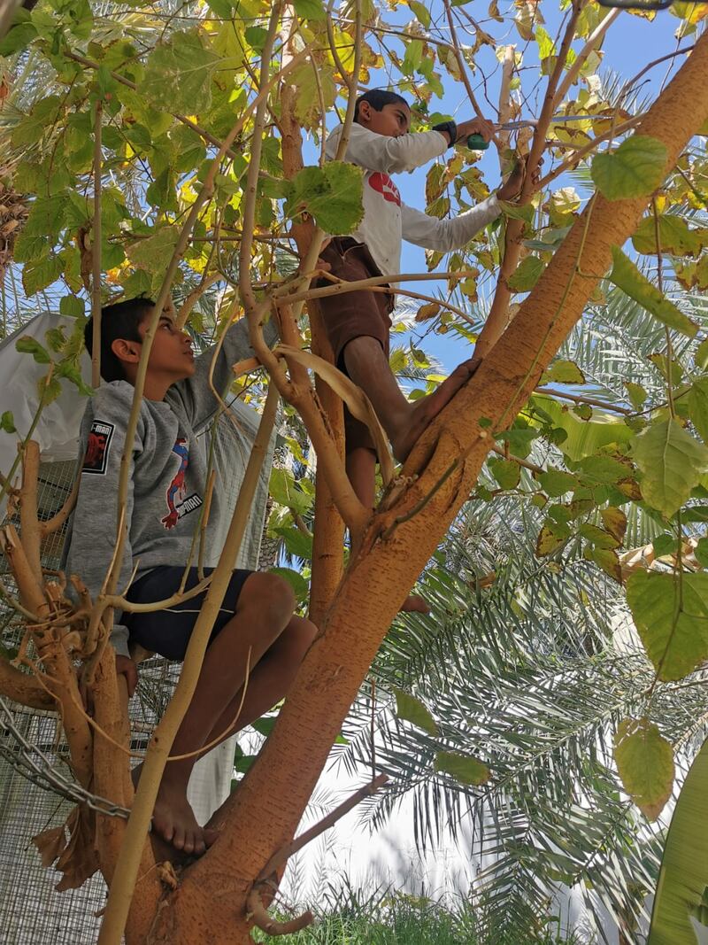 بالصور: تجار صغار في سوق نزوى؛ فما قصتهم وكيف بدأوا؟