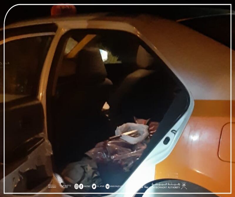 بالصور: القبض على صائدي غزال عربي