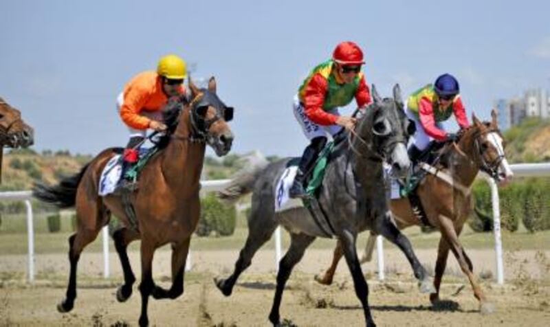 منها المركز الأول: نتائج متقدمة للخيالة السلطانية في سباقات أوروبية