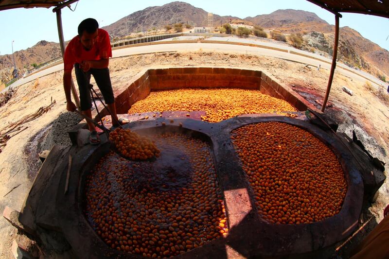 “التبسيل” موسم مهم وحرفة قديمة يمارسها المزارع العماني