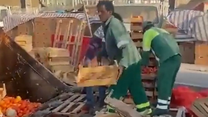 هل وصلك مقطع إتلاف الطماطم؛ بلدية مسقط توضح سببه