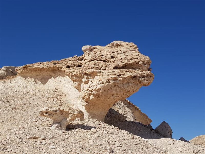 ترسبات صخرية عمرها أكثر من 50 مليون سنة في إحدى الولايات