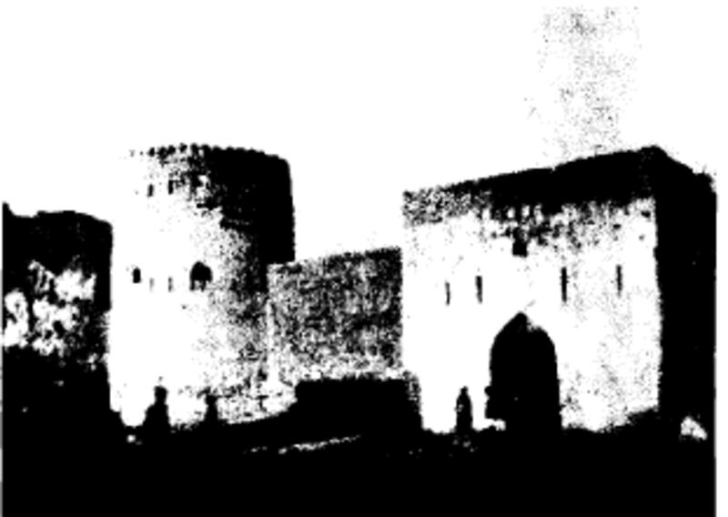 بالصور: تفاصيل من جولة فريق علمي في السلطنة عام 1925