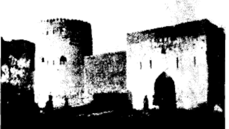 بالصور: تفاصيل من جولة فريق علمي في السلطنة عام 1925