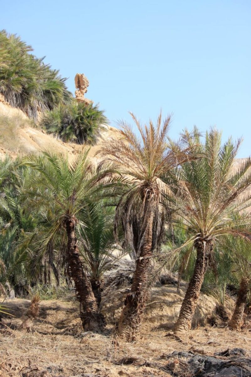 وادي الشويمية من أجمل الأودية في شليم وجزر الحلانيات