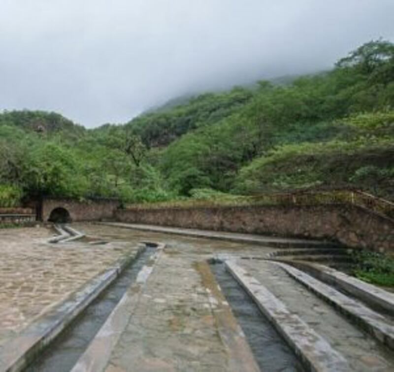 ماذا تعرف عن عين طبرق ذات الأشجار الكثيفة؟