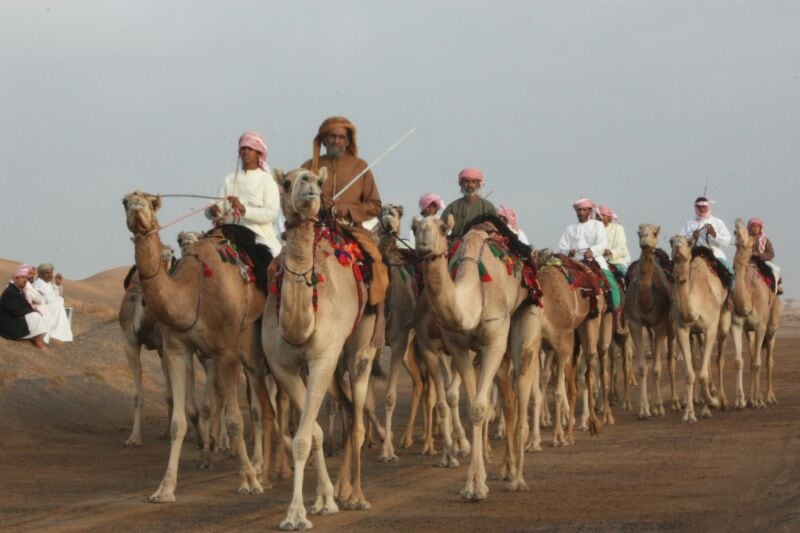 السلطنة تحتفل بمرور 5 أعوام على تسجيل فنيّ العازي والتغرود لدى اليونسكو