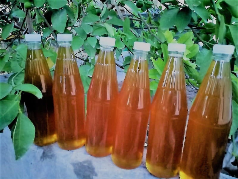 طريقتان لتربية العسل…والعماني له نوعان