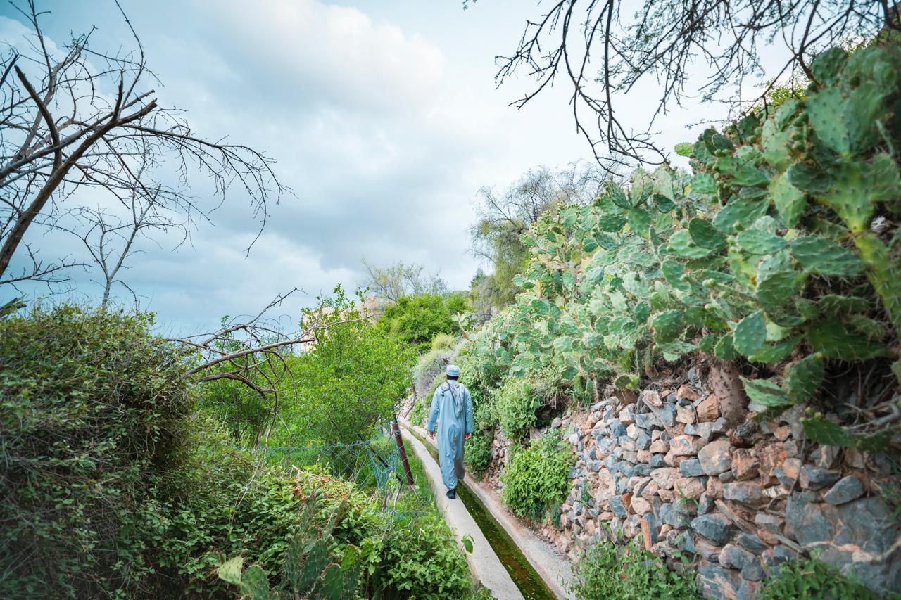 من بينها “سياحة المغامرات”: منصة عُمانية توفّر أكثر من 130 تجربة وأنشطة متنوعة
