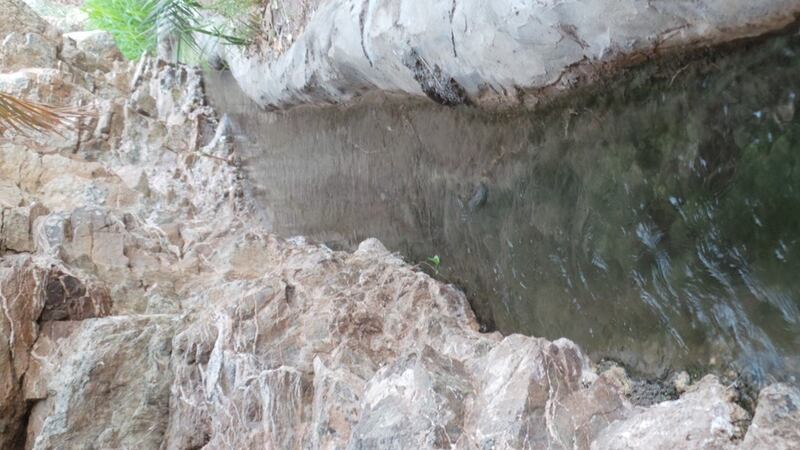 “العوينة” عين ماء عذبة دائمة الجريان