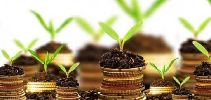 علي المنجي يكتب: كيف نجدد الوقف ونجدده؟