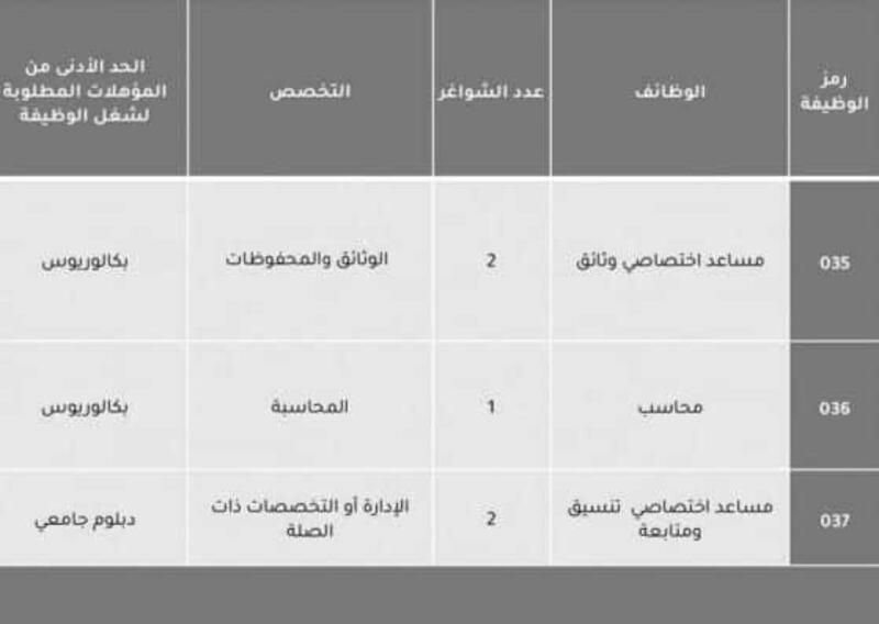 إحداها “رئيس تنفيذي”: الإعلان عن 6 فرص وظيفية شاغرة