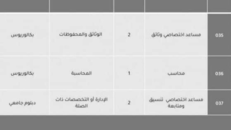 إحداها “رئيس تنفيذي”: الإعلان عن 6 فرص وظيفية شاغرة