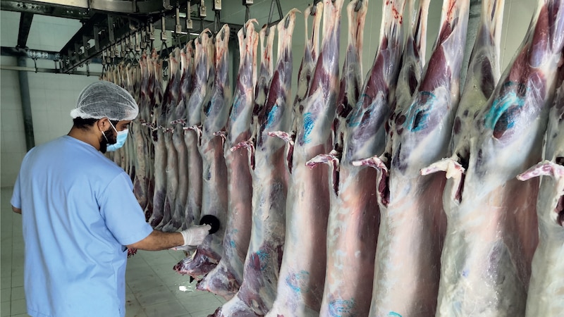 مسالخ بلدية مسقط تكمل استعداداتها لاستقبال عيد الفطر السعيد
