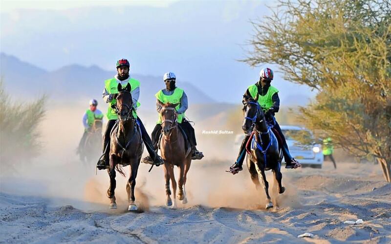 “هبوب” بطلا لكأس العيد الوطني الخمسين