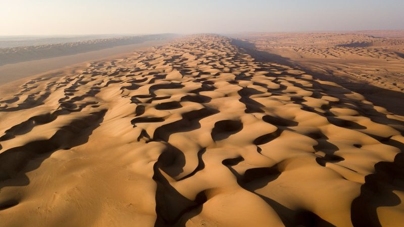 فيلمان وثائقيان سيبرزان الحياة البرية العمانية ومخلوقات نادرة فيها