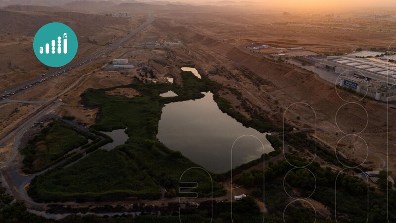 بالفيديو: بحيرات في مسقط تحتضن أكثر من 300 نوع من الطيور