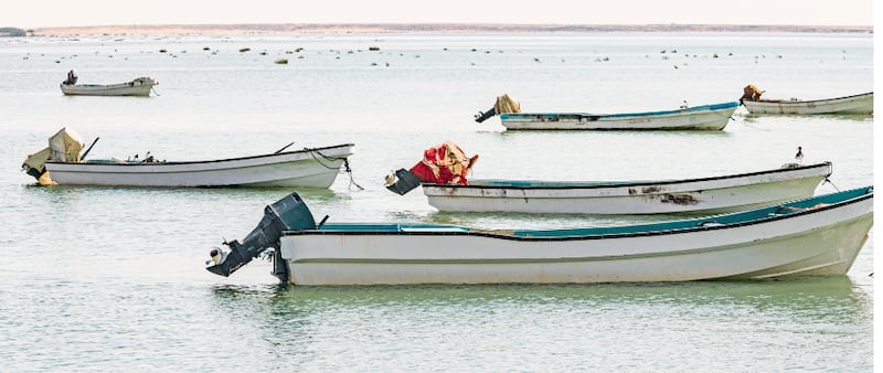 اجتماع في الشورى يوصي بتعزيز الرقابة على القطاع السمكي