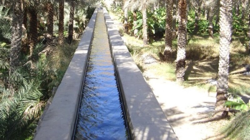تأسيس كرسي اليونسكو لدراسات الأفلاج في السلطنة