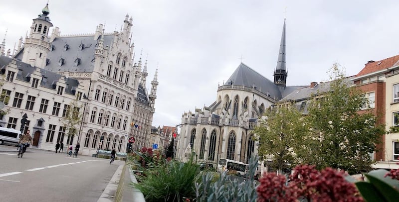 الشيخ حمود السيابي يكتب: بلجيكا.. الشطر الوجداني للوطن