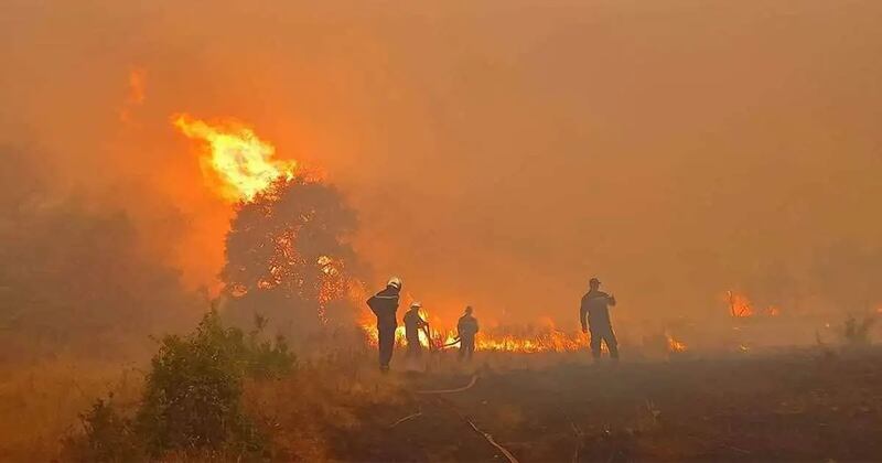 عشية الاحتفاء بذكرى “الاستقلال”: حرائق واسعة تجتاح الاحتلال الإسرائيلي