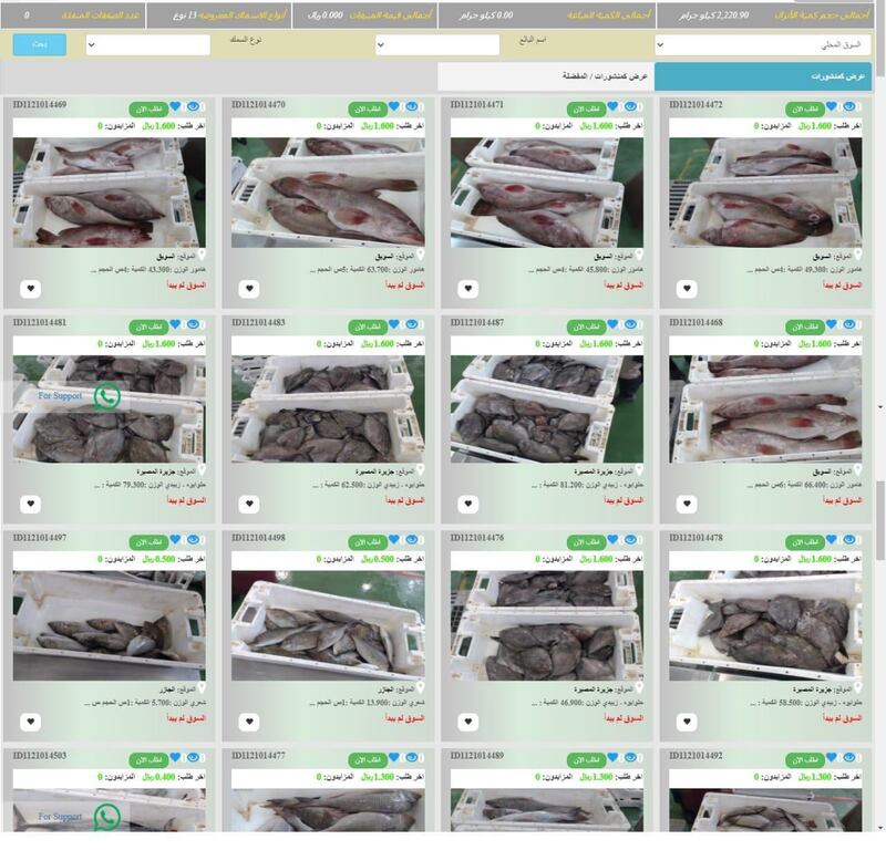 لمحبي الأسماك: الأسعار تنخفض إلى أدنى مستوياتها في أشهر