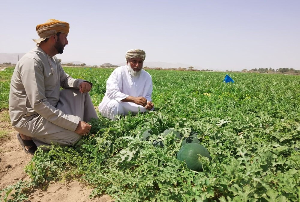 بالصور: مواطن يحقق إنتاجية كبيرة من زراعة الجح