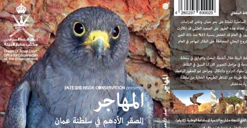 الصقر الأدهم…فيلم وثائقي عن الطائر المهاجر في السينما المحلية الأربعاء