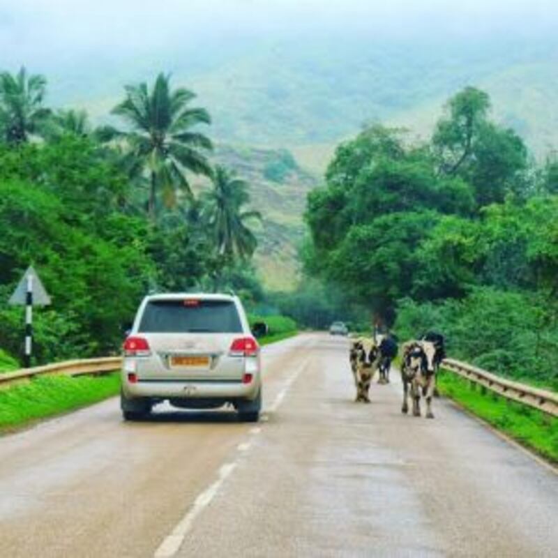 بالصور والخريطة.. تعرّف على  عين حمران في طاقة