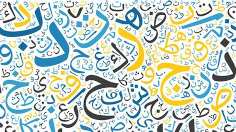 غدا: نحتفل باليوم العالمي للغة العربية؛ شاركنا مقولة أو بيت شعر تحفظه بالفصحى