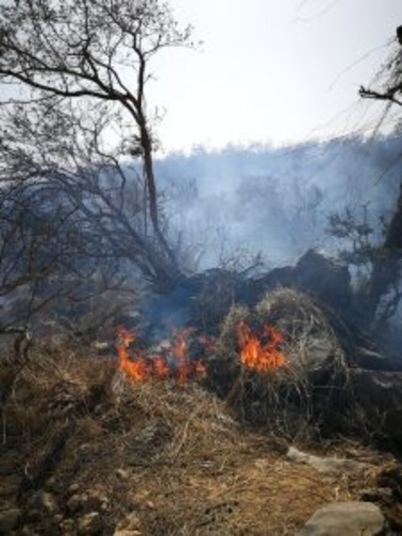 بالصور: حريق يلتهم الكثير من الأشجار و الحشائش برخيوت