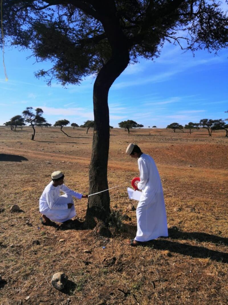 قام بها طلبة: دراسة تكشف نتائج عن شجرة ” الطلح” وتوزيعها