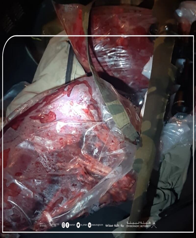 بالصور: القبض على صائدي غزال عربي