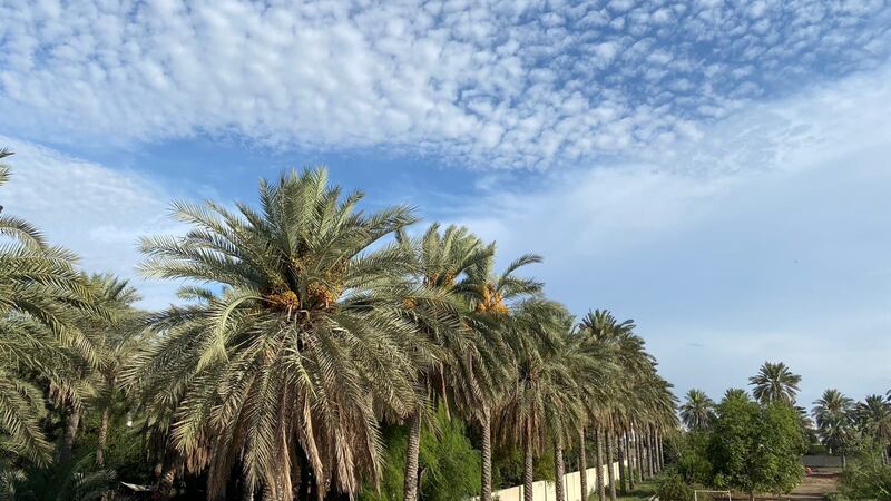 هل نحن كُفّار نعمة؟! …ثروة عظيمة تُداس بالأقدام