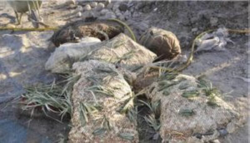 الشواء العُماني وجبة العيد الفريدة ..تعرّف على مراحل إعداده بالصور