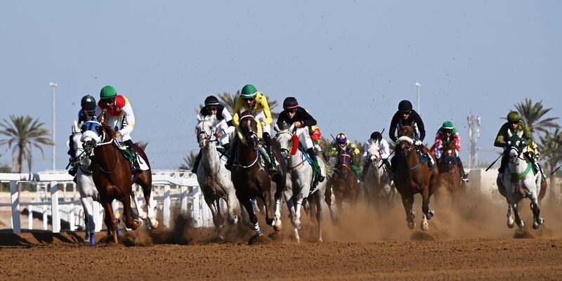 تقرير عن المهرجانات السلطانية لسباقات الخيل؛ فأي مهرجان منها تتذكر؟