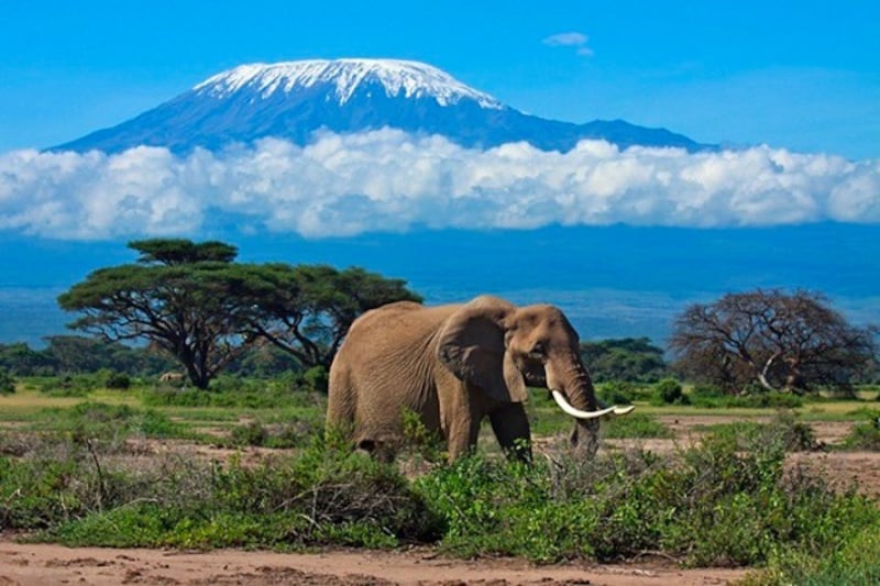 معلومات قد لا تعرفها من قبل عن تنزانيا