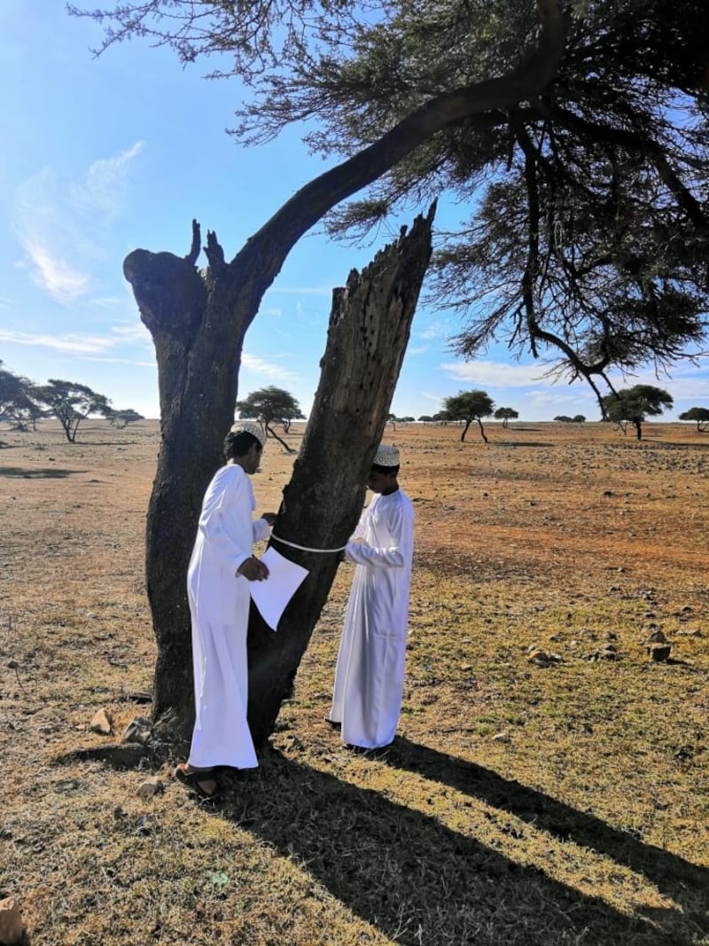 قام بها طلبة: دراسة تكشف نتائج عن شجرة ” الطلح” وتوزيعها