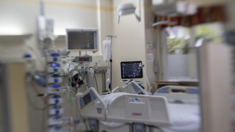 انتبهوا على أطفالكم: لدغة أفعى تُدخل طفلة العناية المركزة.. ووالدها يروي التفاصيل