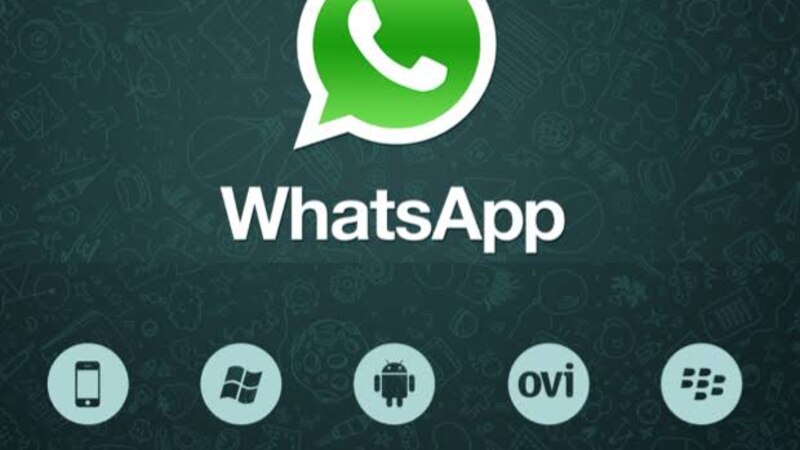 قريبًا.. برنامج وتس أب يُمكنك من تحويل الأموال