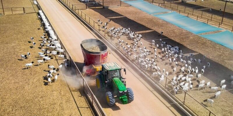 طرح استثمارات غذائية بأكثر من 450 مليون ريال