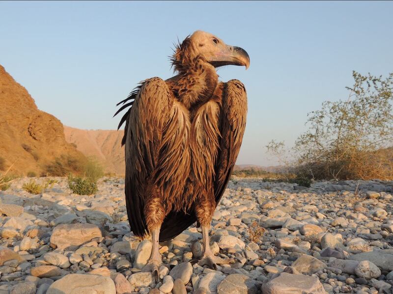 بعد المراسيم السلطانية اليوم: 30 محمية طبيعية؛ فكيف تُستثمَر؟