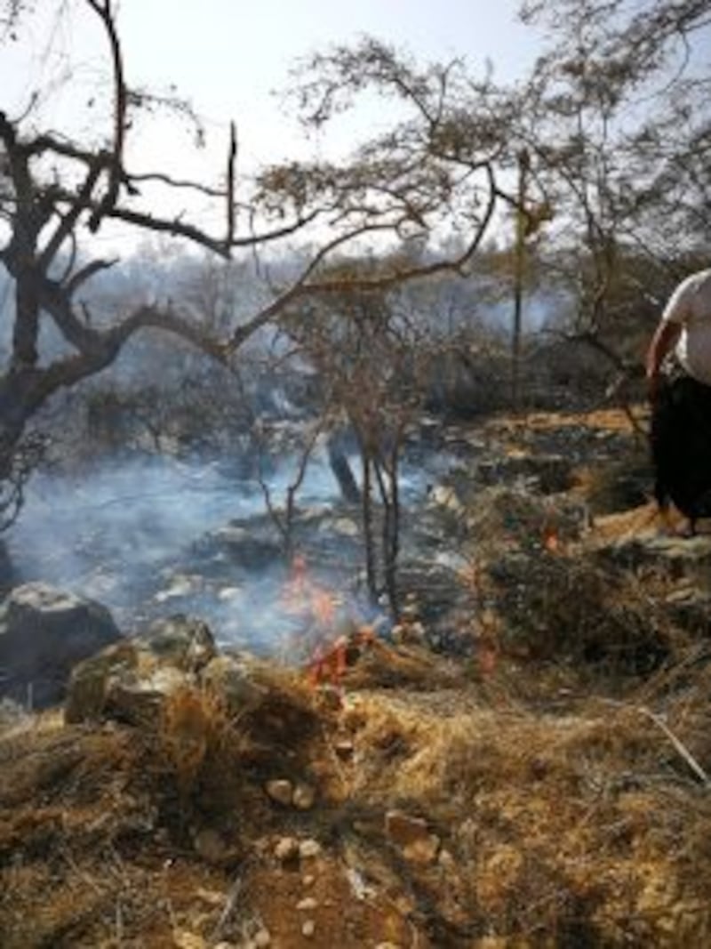 بالصور: حريق يلتهم الكثير من الأشجار و الحشائش برخيوت