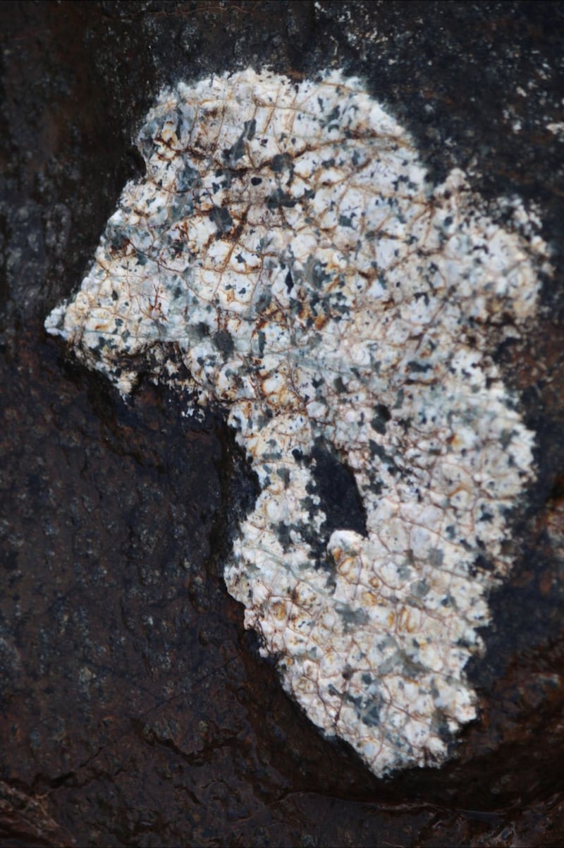 بالصور: فرشاة الطبيعة تحفر خارطة سلطنة عُمان وقارة إفريقيا على بطن صخرة