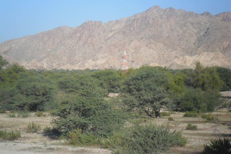 محمد الوهيبي يكتب: إلى من يهمهم الأمر…”الحقوا السليل”