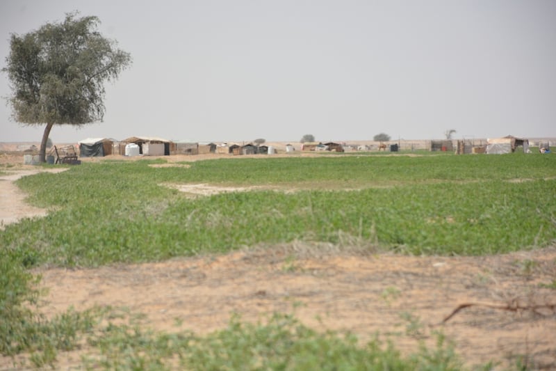 بالصور: “قوع الجوبة” قرية عُمانية يقصدها الزوار للراحة والاستجمام