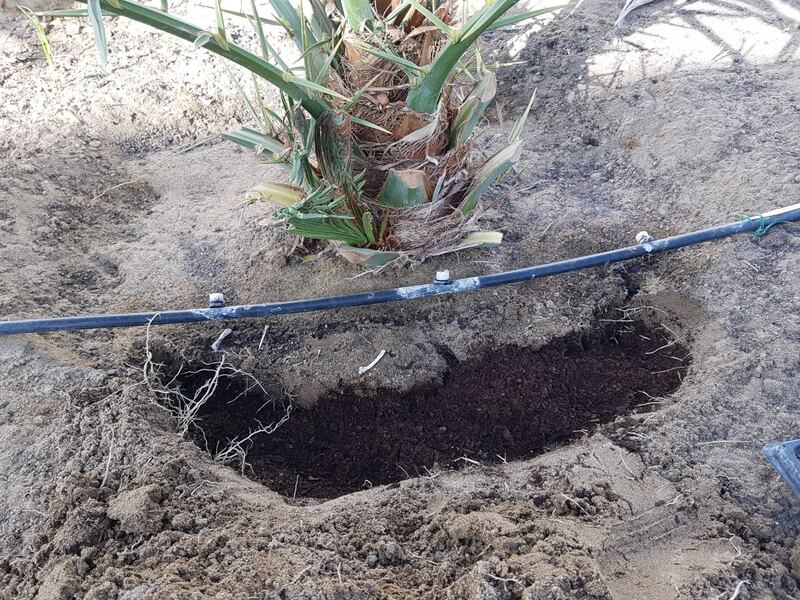 تجربة حول الأسمدة العضوية..ومسؤول في الزراعة يوضح نتائجها وأهميتها