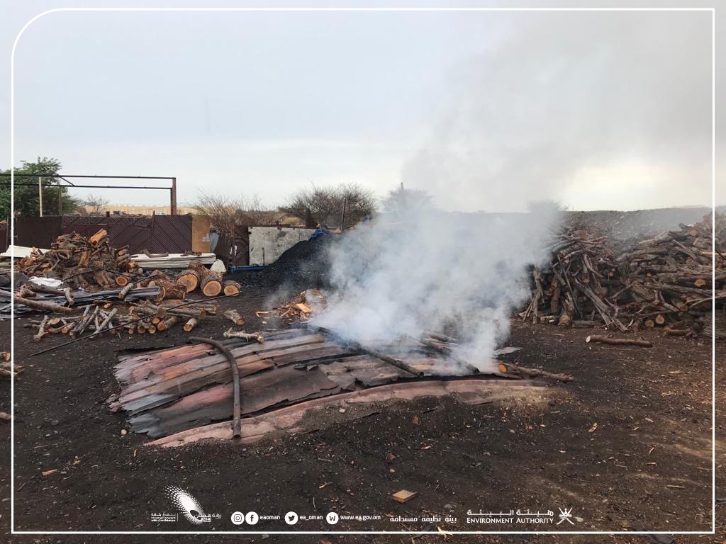 وافدون “يسخّمون” أكوامًا كبيرة من حطب السمر والغاف الخضراء